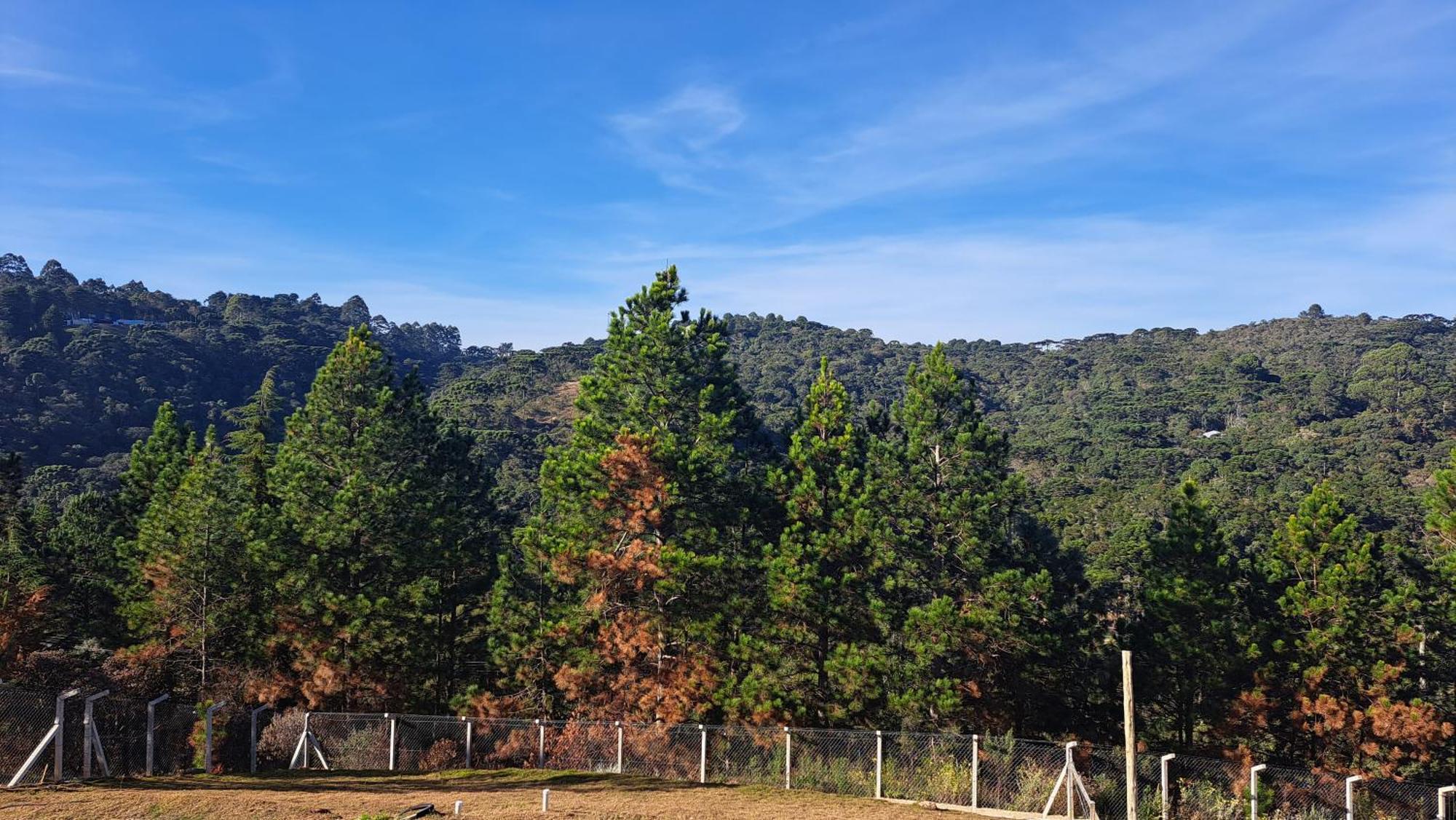 Chale Luz Do Luar Romantismo E Uma Linda Vista Campos do Jordão Esterno foto